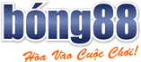 cricket broadcast rights in india